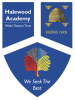 Halewood Academy